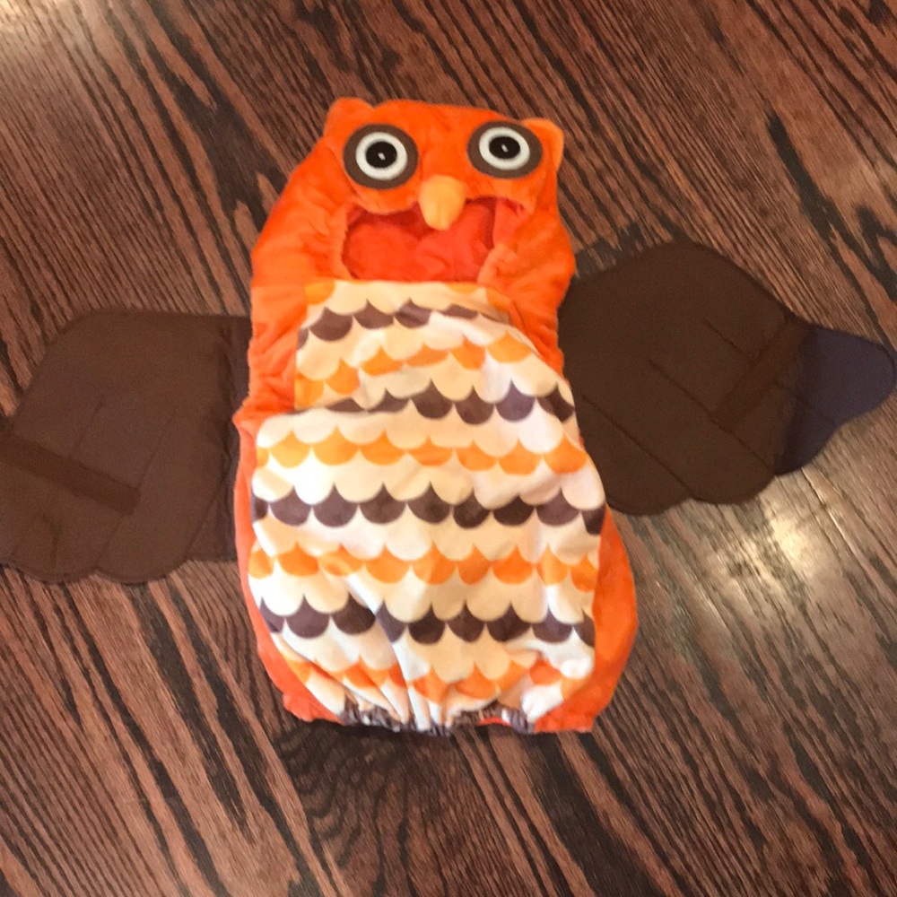 Owl Halloween Costume